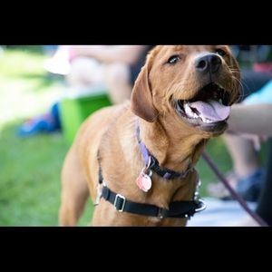 Meet your Posher, Keely